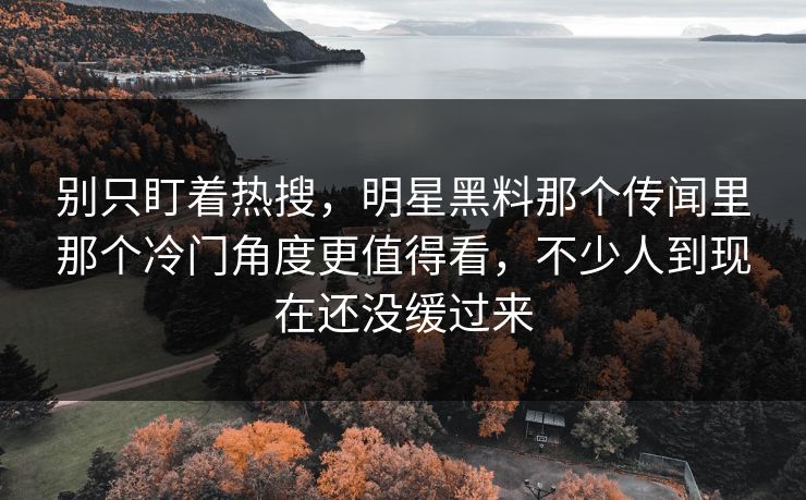 别只盯着热搜，明星黑料那个传闻里那个冷门角度更值得看，不少人到现在还没缓过来